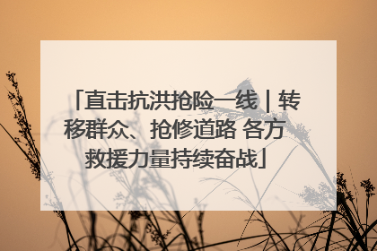 直击抗洪抢险一线｜转移群众、抢修道路 各方救援力量持续奋战