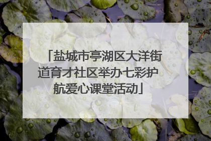 盐城市亭湖区大洋街道育才社区举办七彩护航爱心课堂活动