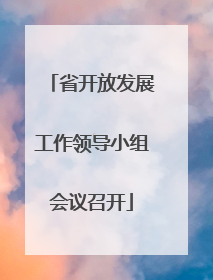 省开放发展工作领导小组会议召开
