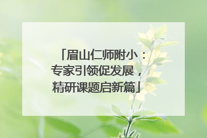 眉山仁师附小：专家引领促发展，精研课题启新篇