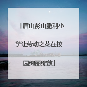 眉山彭山鹏利小学让劳动之花在校园绚丽绽放