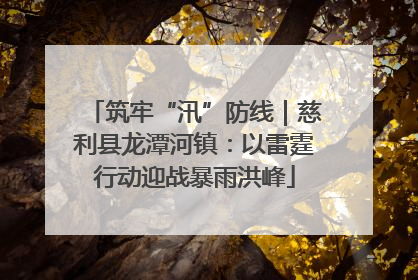筑牢“汛”防线｜慈利县龙潭河镇：以雷霆行动迎战暴雨洪峰