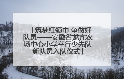 筑梦红领巾 争做好队员——安徽省龙亢农场中心小学举行少先队新队员入队仪式