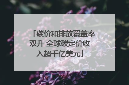 碳价和排放覆盖率双升 全球碳定价收入超千亿美元