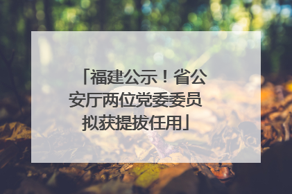 福建公示！省公安厅两位党委委员拟获提拔任用
