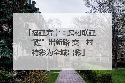 福建寿宁：跨村联建“蹚”出新路 变一村精彩为全域出彩