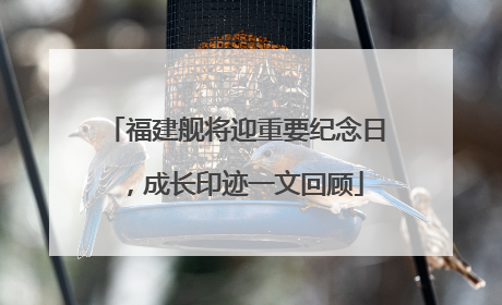 福建舰将迎重要纪念日，成长印迹一文回顾