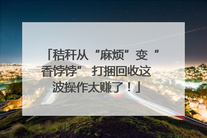 秸秆从“麻烦”变“香饽饽” 打捆回收这波操作太赚了！