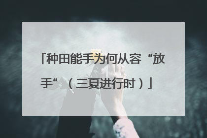 种田能手为何从容“放手”（三夏进行时）