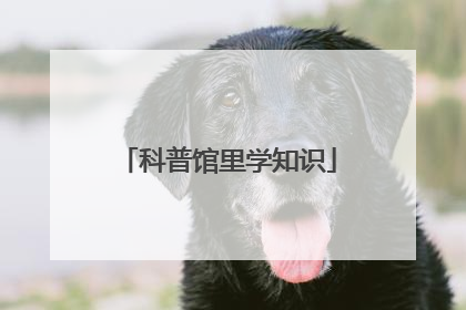科普馆里学知识