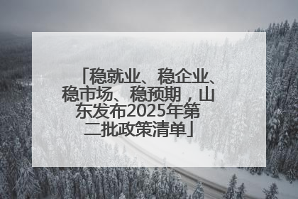 稳就业、稳企业、稳市场、稳预期，山东发布2025年第二批政策清单
