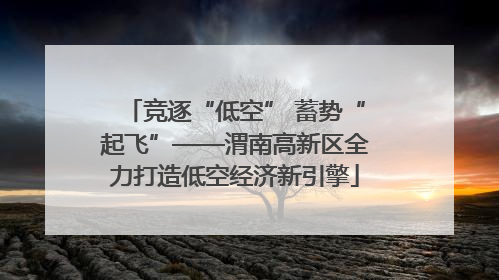 竞逐“低空” 蓄势“起飞”——渭南高新区全力打造低空经济新引擎