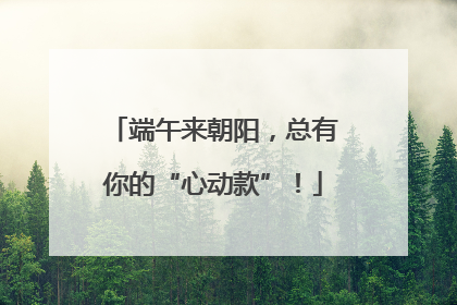端午来朝阳，总有你的“心动款”！