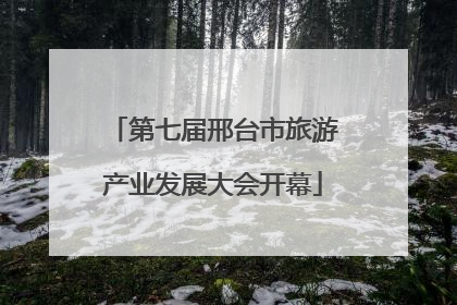 第七届邢台市旅游产业发展大会开幕