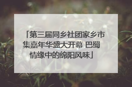 第三届同乡社团家乡市集嘉年华盛大开幕 巴蜀情缘中的绵阳风味