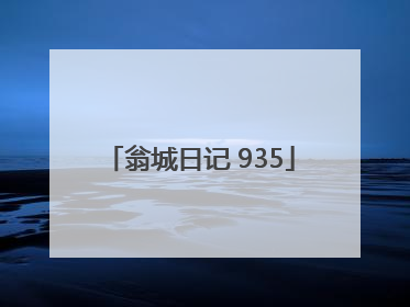 翁城日记 935