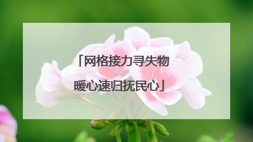 网格接力寻失物 暖心速归抚民心