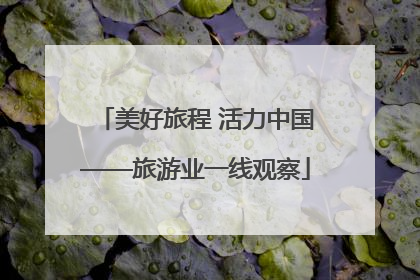 美好旅程 活力中国——旅游业一线观察