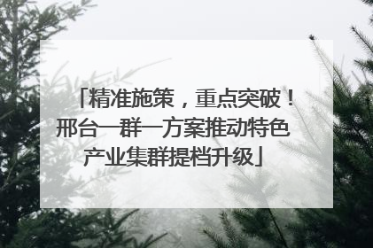 精准施策，重点突破！邢台一群一方案推动特色产业集群提档升级