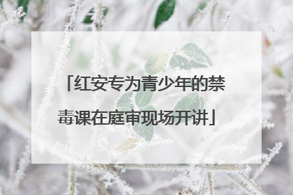 红安专为青少年的禁毒课在庭审现场开讲