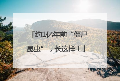 约1亿年前“僵尸昆虫”，长这样！
