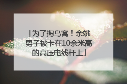 为了掏鸟窝！余姚一男子被卡在10余米高的高压电线杆上