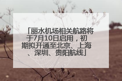 丽水机场相关航路将于7月10日启用，初期拟开通至北京、上海、深圳、贵阳航线