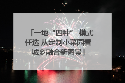 一地“四种” 模式任选 从定制小菜园看城乡融合新图景