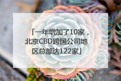 一年增加了10家，北京CBD跨国公司地区总部达122家