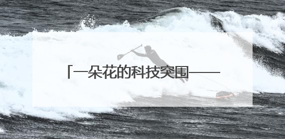 一朵花的科技突围——“三用百合”从实验室到产业链的菏泽实践