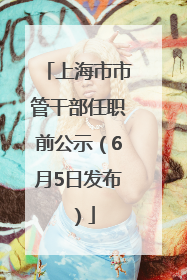 上海市市管干部任职前公示（6月5日发布）