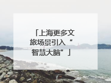 上海更多文旅场景引入“智慧大脑”