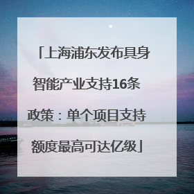 上海浦东发布具身智能产业支持16条政策：单个项目支持额度最高可达亿级