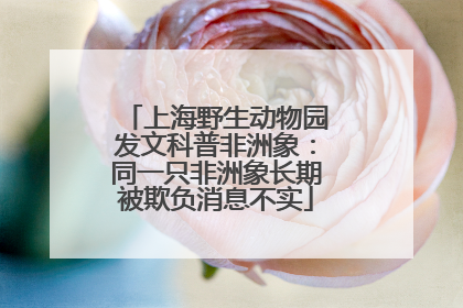 上海野生动物园发文科普非洲象：同一只非洲象长期被欺负消息不实