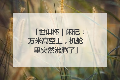 世俱杯｜闲记：万米高空上，机舱里突然沸腾了