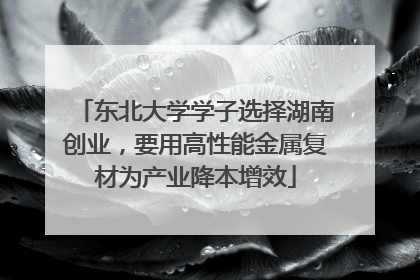东北大学学子选择湖南创业，要用高性能金属复材为产业降本增效