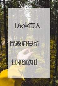 东营市人民政府最新任职通知