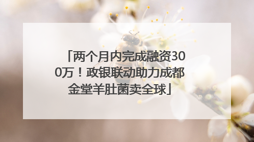 两个月内完成融资300万！政银联动助力成都金堂羊肚菌卖全球