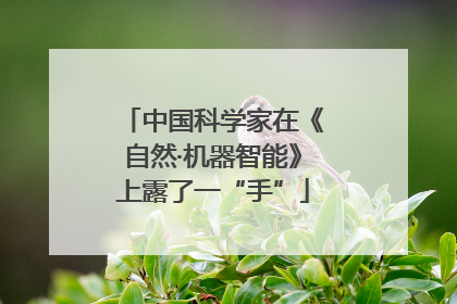 中国科学家在《自然·机器智能》上露了一“手”