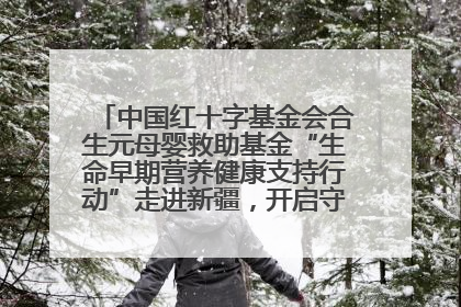 中国红十字基金会合生元母婴救助基金“生命早期营养健康支持行动”走进新疆，开启守护母婴新篇章！
