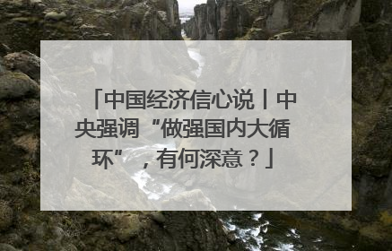 中国经济信心说丨中央强调“做强国内大循环”，有何深意？
