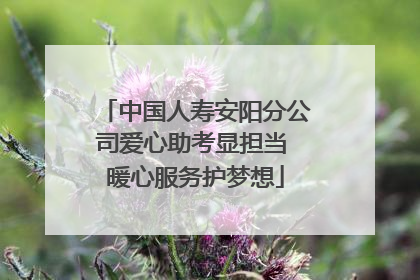 中国人寿安阳分公司爱心助考显担当 暖心服务护梦想