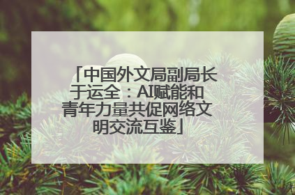 中国外文局副局长于运全：AI赋能和青年力量共促网络文明交流互鉴