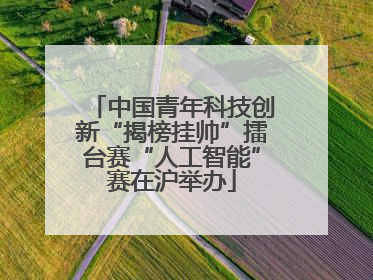 中国青年科技创新“揭榜挂帅”擂台赛“人工智能”赛在沪举办