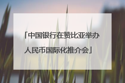中国银行在赞比亚举办人民币国际化推介会