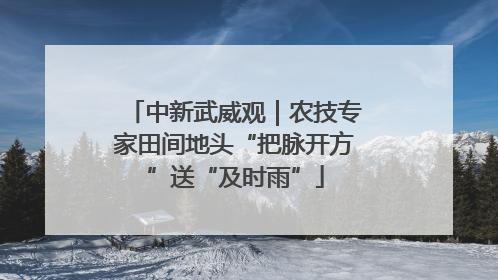 中新武威观｜农技专家田间地头“把脉开方”送“及时雨”