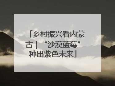 乡村振兴看内蒙古｜“沙漠蓝莓”种出紫色未来