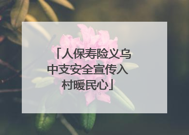 人保寿险义乌中支安全宣传入村暖民心