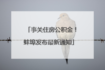 事关住房公积金！蚌埠发布最新通知