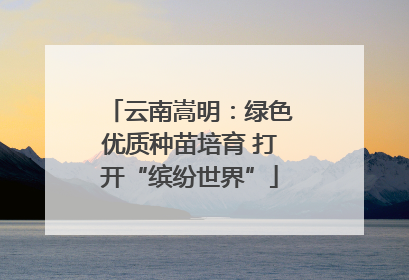 云南嵩明：绿色优质种苗培育 打开“缤纷世界”